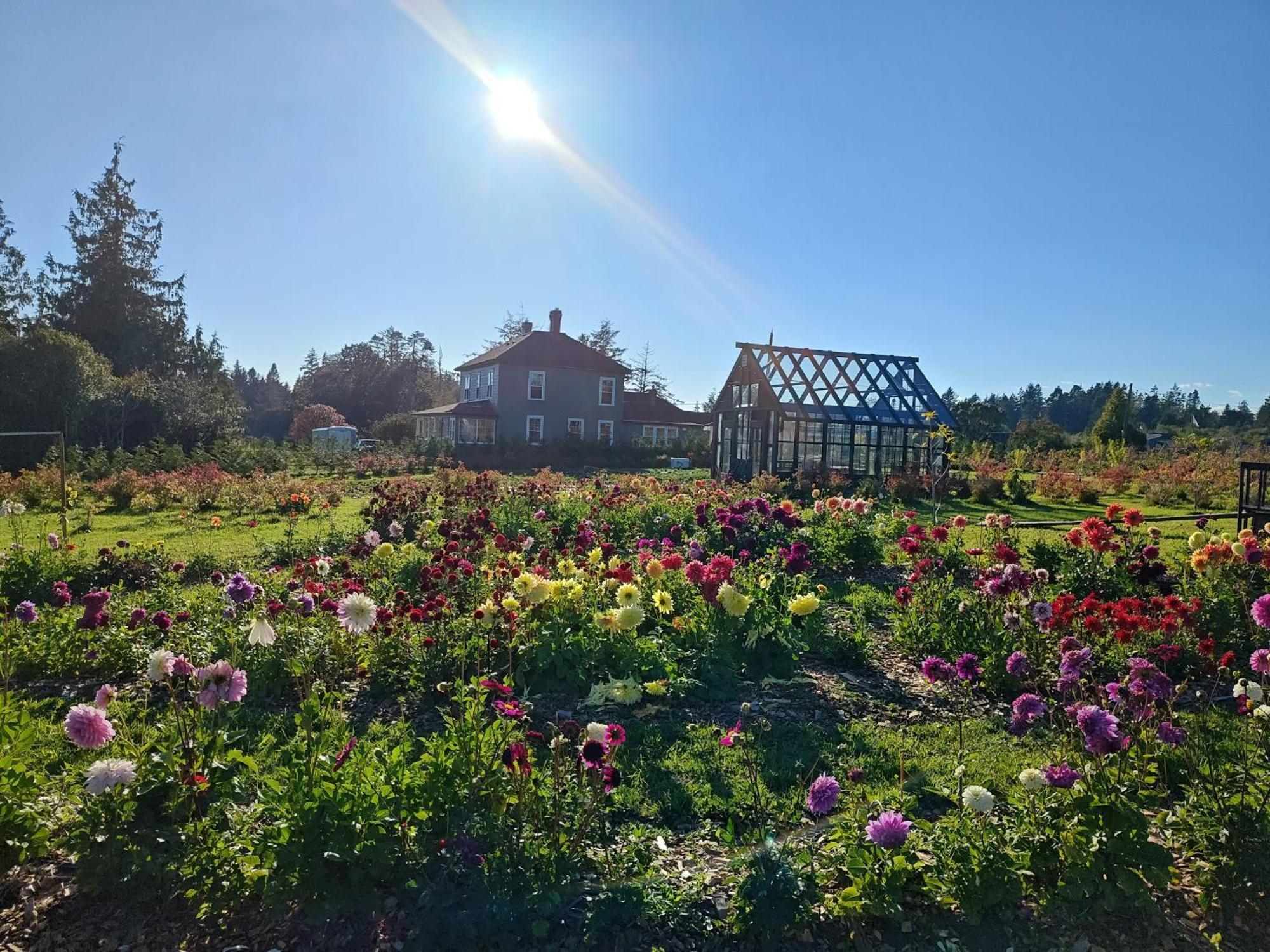 Woodside Farm Country Inn Суук Екстериор снимка