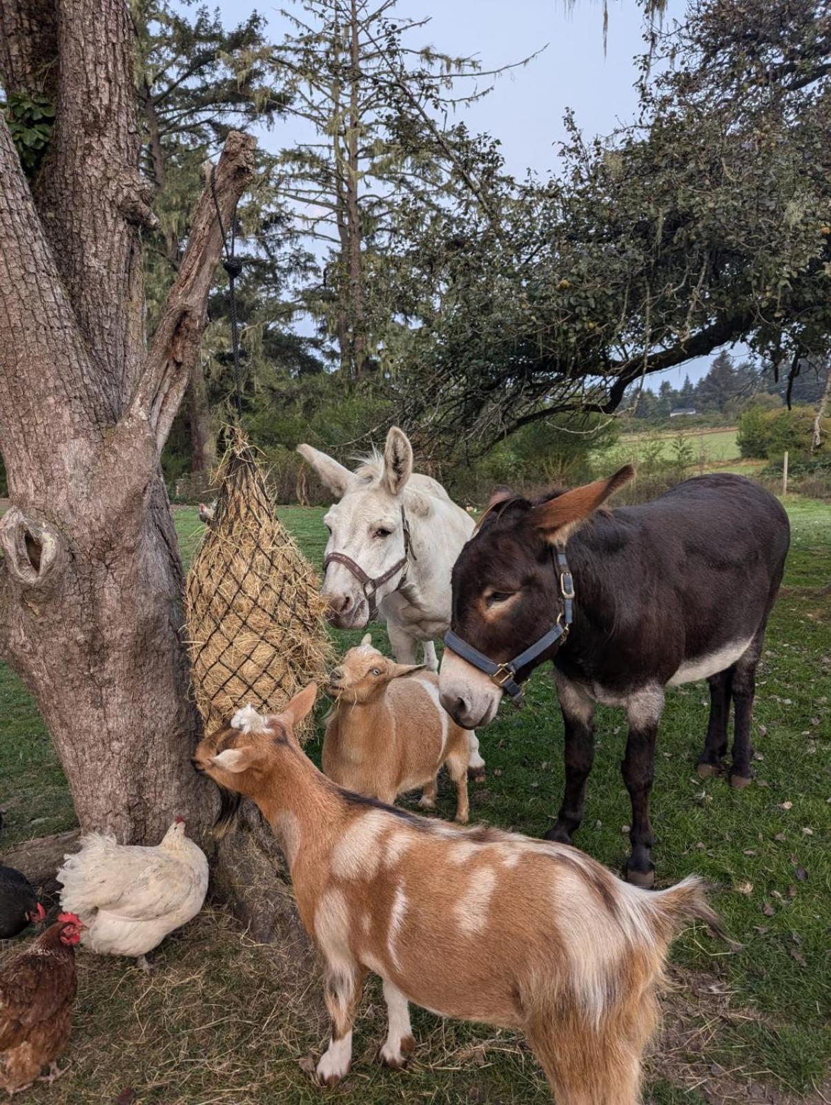 Woodside Farm Country Inn Суук Екстериор снимка