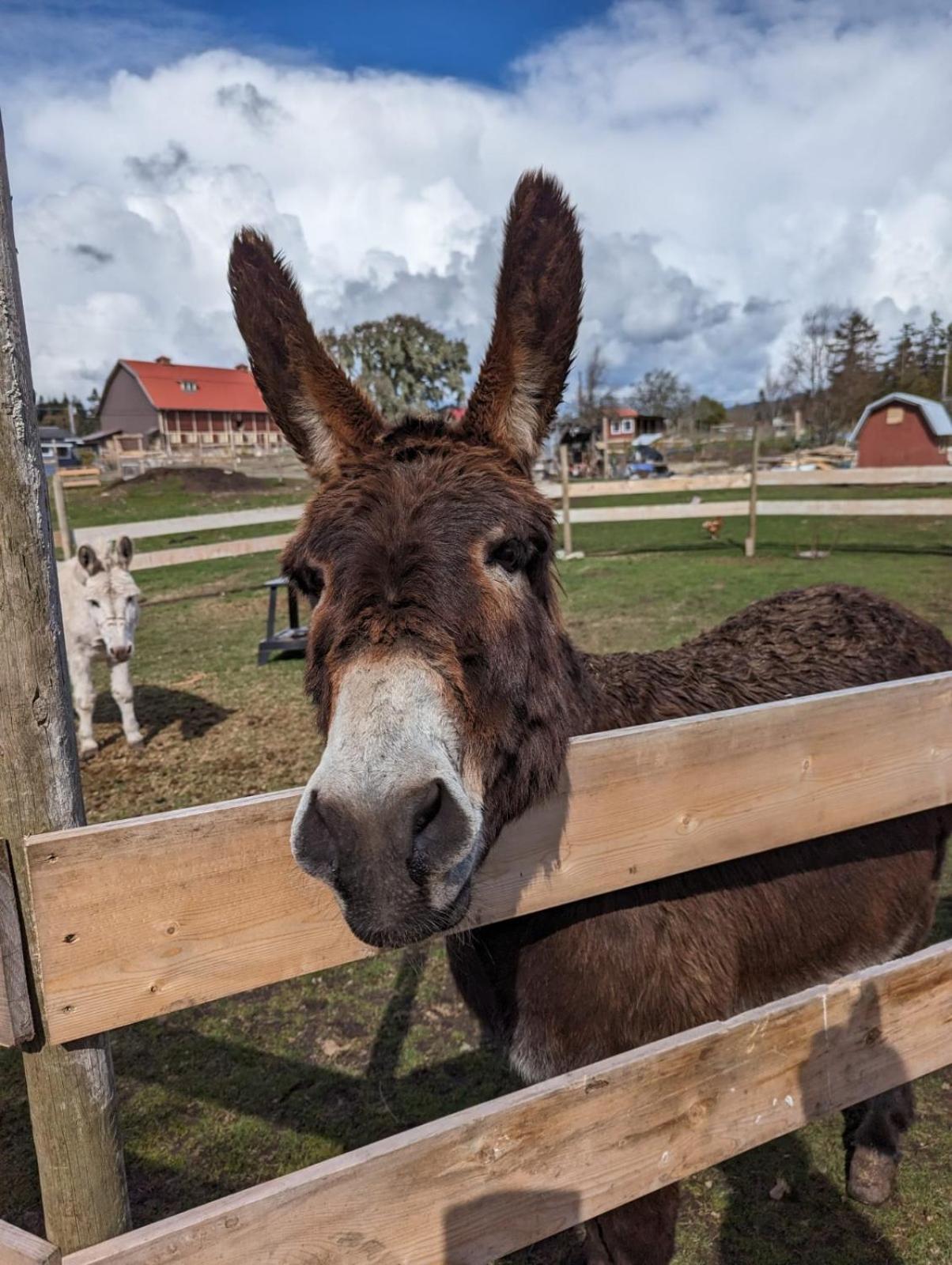 Woodside Farm Country Inn Суук Екстериор снимка