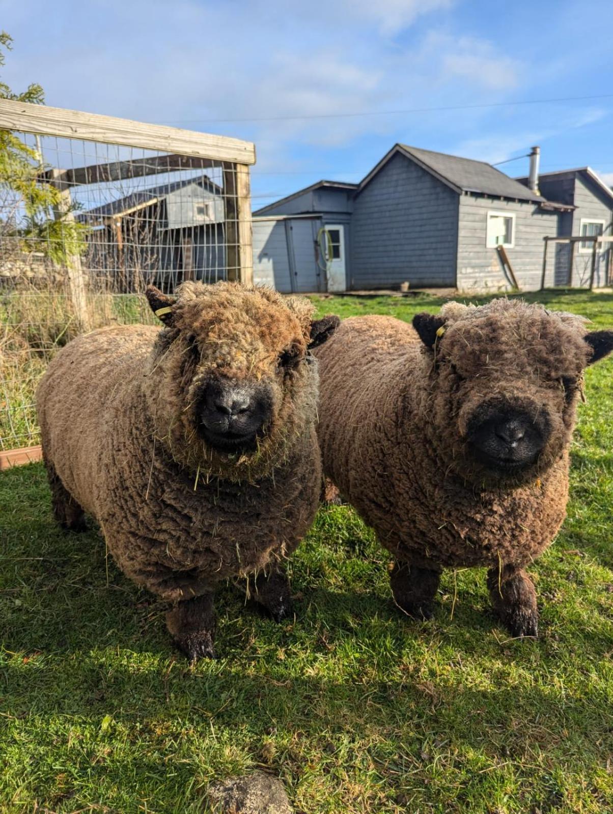 Woodside Farm Country Inn Суук Екстериор снимка